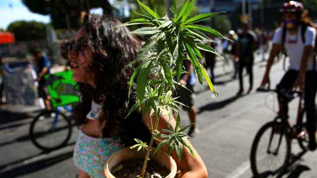 El consumo lúdico de marihuana, despenalizado en México.
