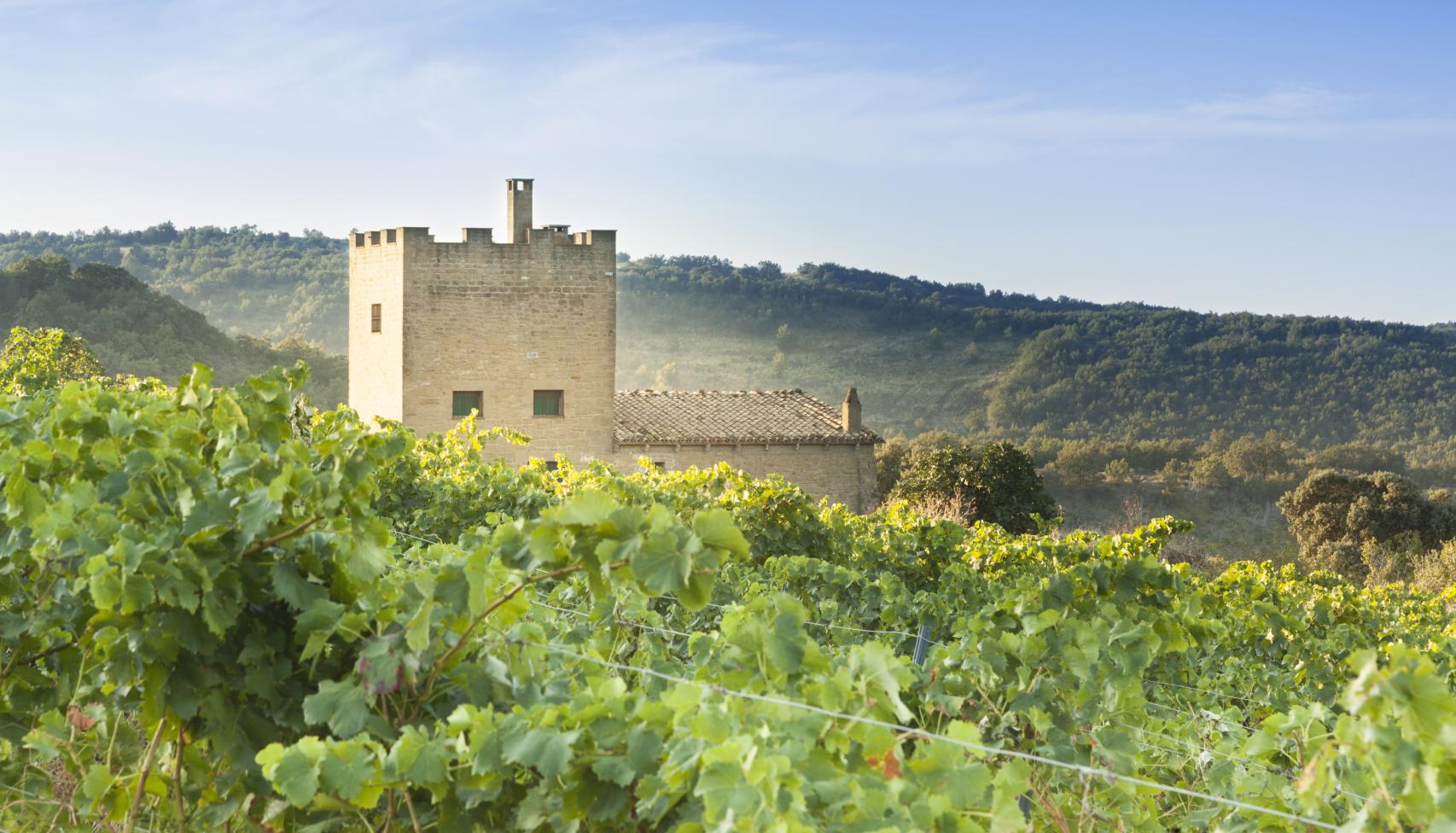 Viñedo en Uncastillo y torre medieval.