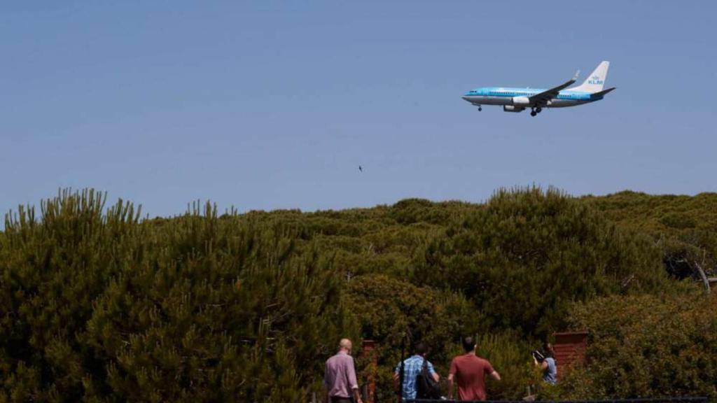 A plane flies over the surroundings of the protected natural area of ​​La Ricarda.