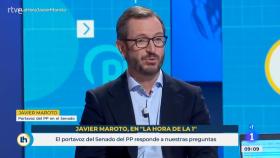 Javier Maroto, portavoz del Grupo Popular en el Senado, en TVE.