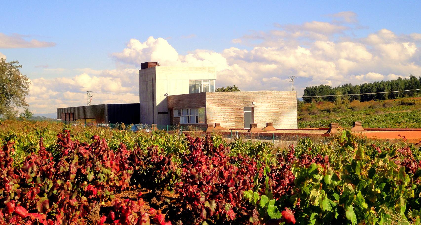 Bodega Losada Vinos de Finca.