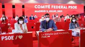 Pedro Sánchez ha presidido el Comité Federal del PSOE de este sábado en Madrid