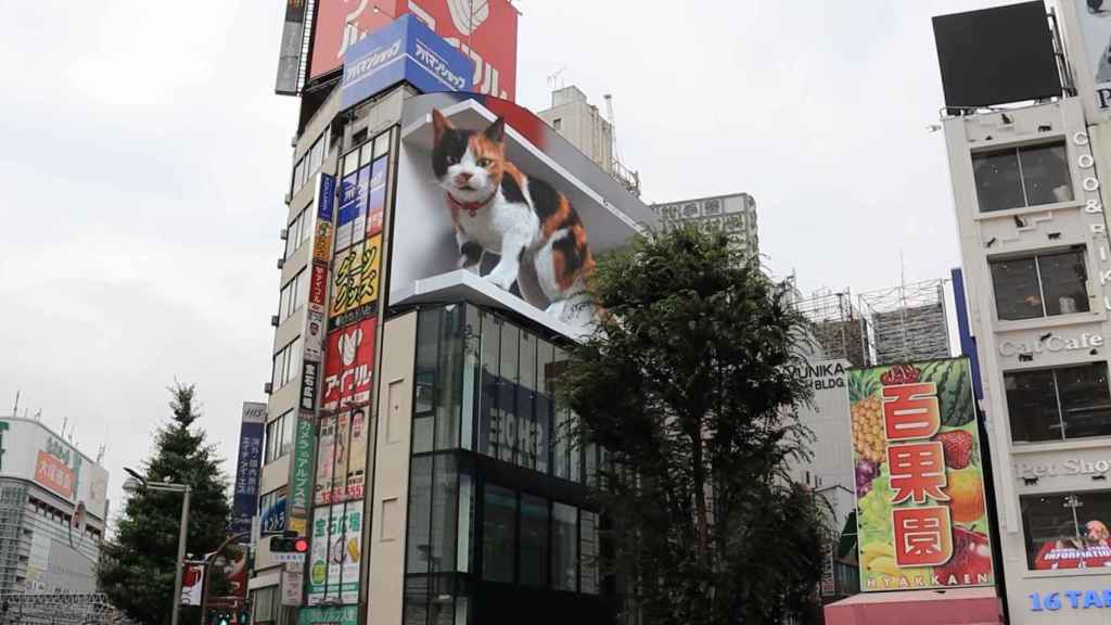 Gato gigante mostrado en Tokio.