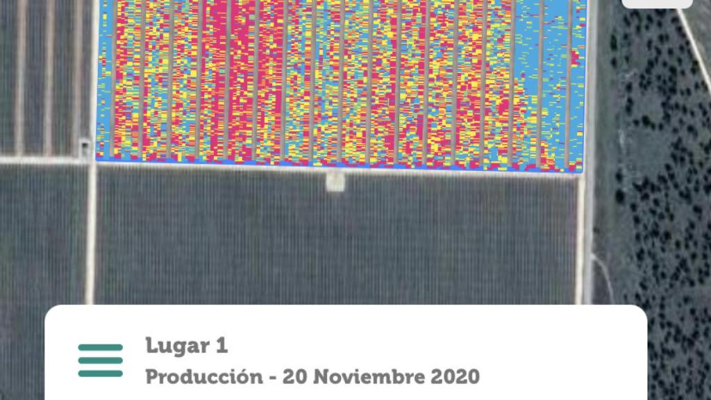 Pantalla de la plataforma de Agerpix con la que se realiza la geolocalización de la fruta en el árbol para establecer la previsión de la cosecha.