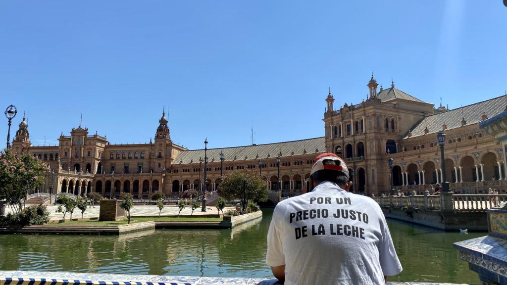 Un manifestante en la Plaza de España de Sevilla.