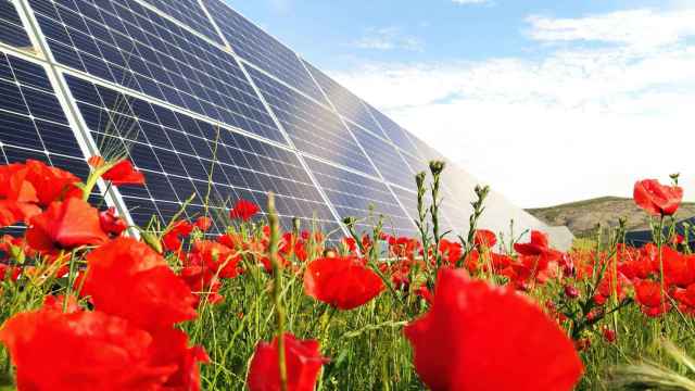 Paneles fotovoltaicos de Solaria