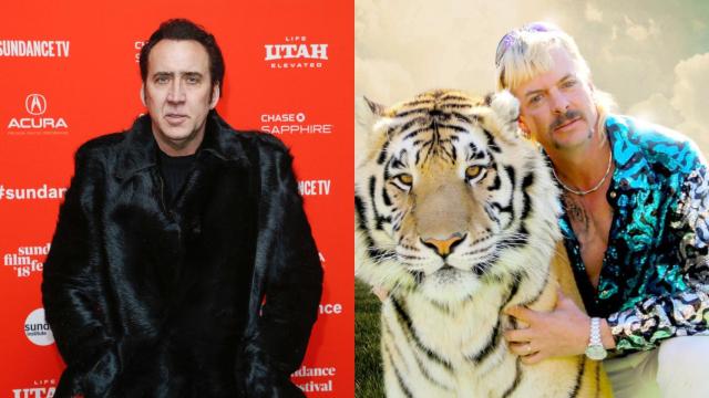 Nicolas Cage ya no será Joe Exotic para Amazon.