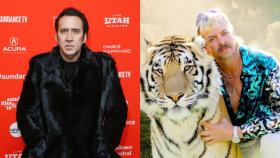 Nicolas Cage ya no será Joe Exotic para Amazon.