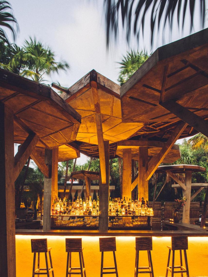 Wild Tulum