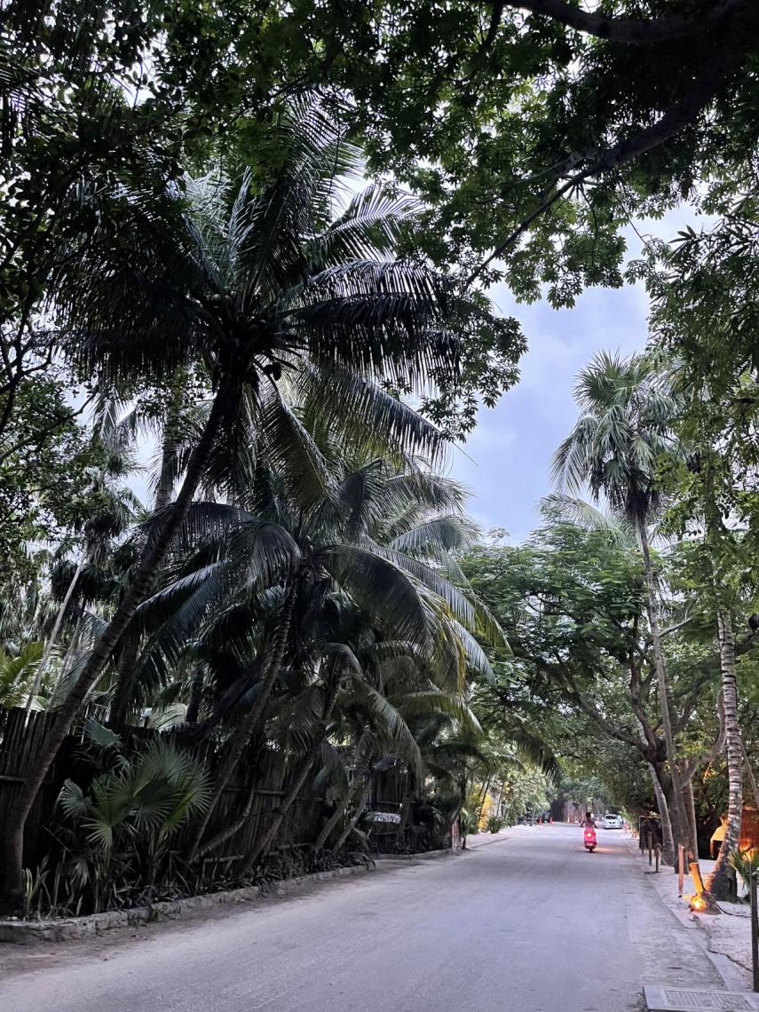 Carretera Boca Paila