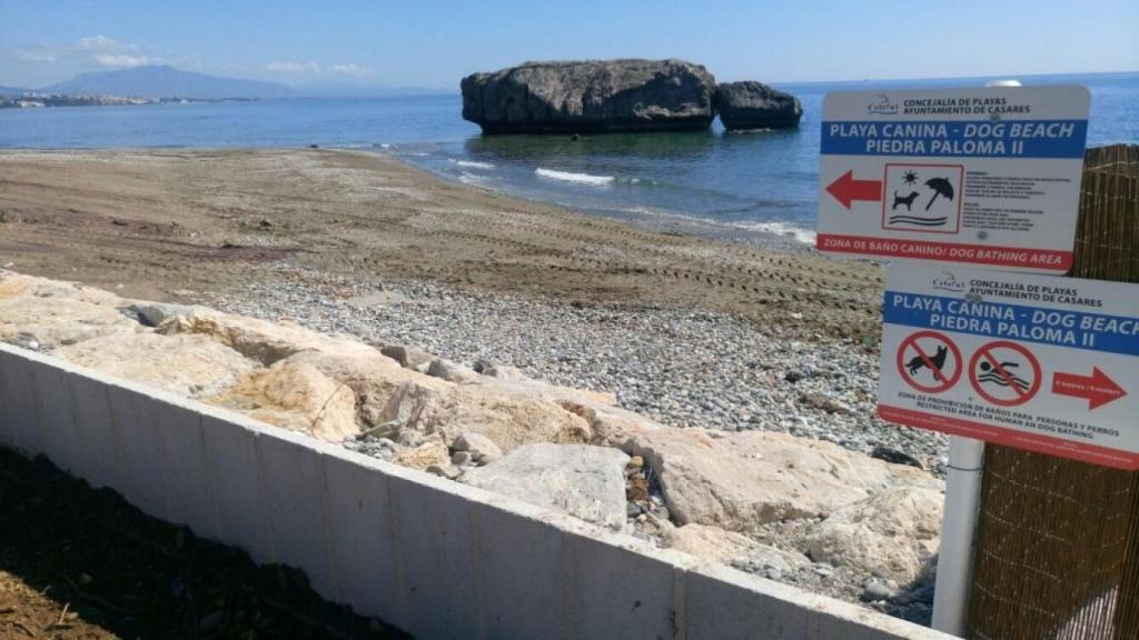 Un día de diversión en Casares antes de regresar a casa para quitarle toda la arena del pelaje a nuestro perrito.