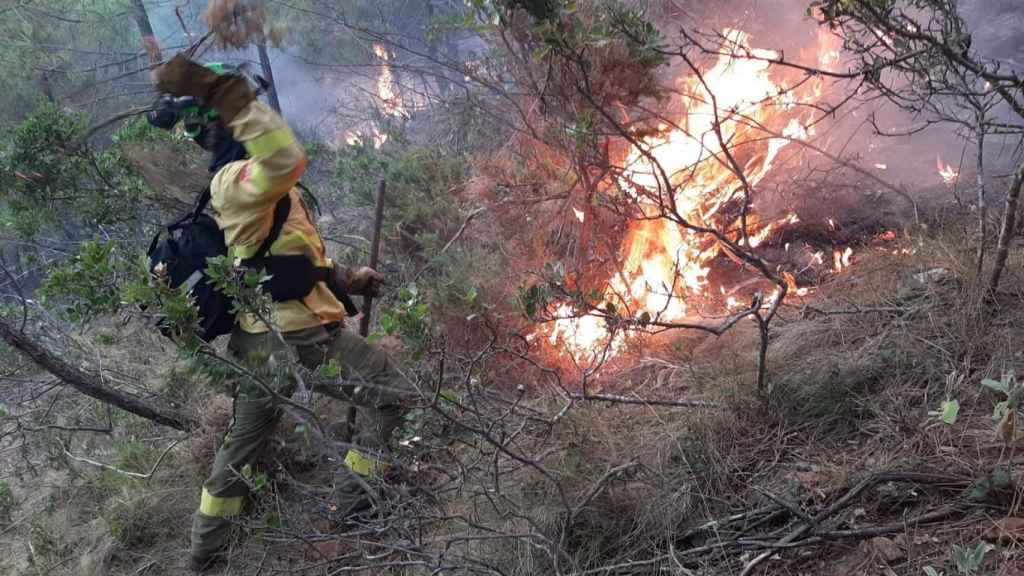 Un efectivo del Infoca trabaja en la extinción del incendio en un paraje de Jubrique (Málaga)