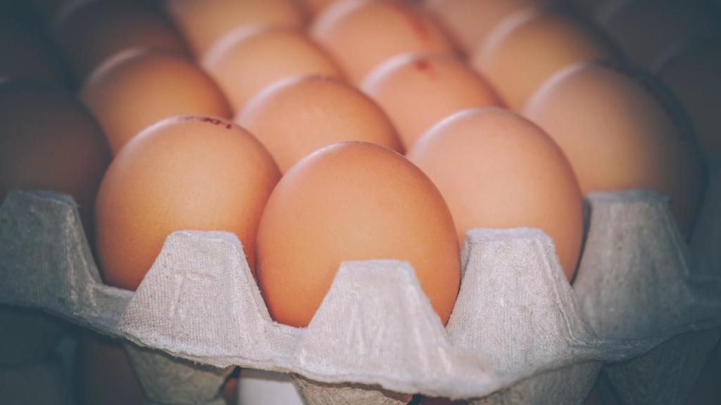 Huevos de gallina