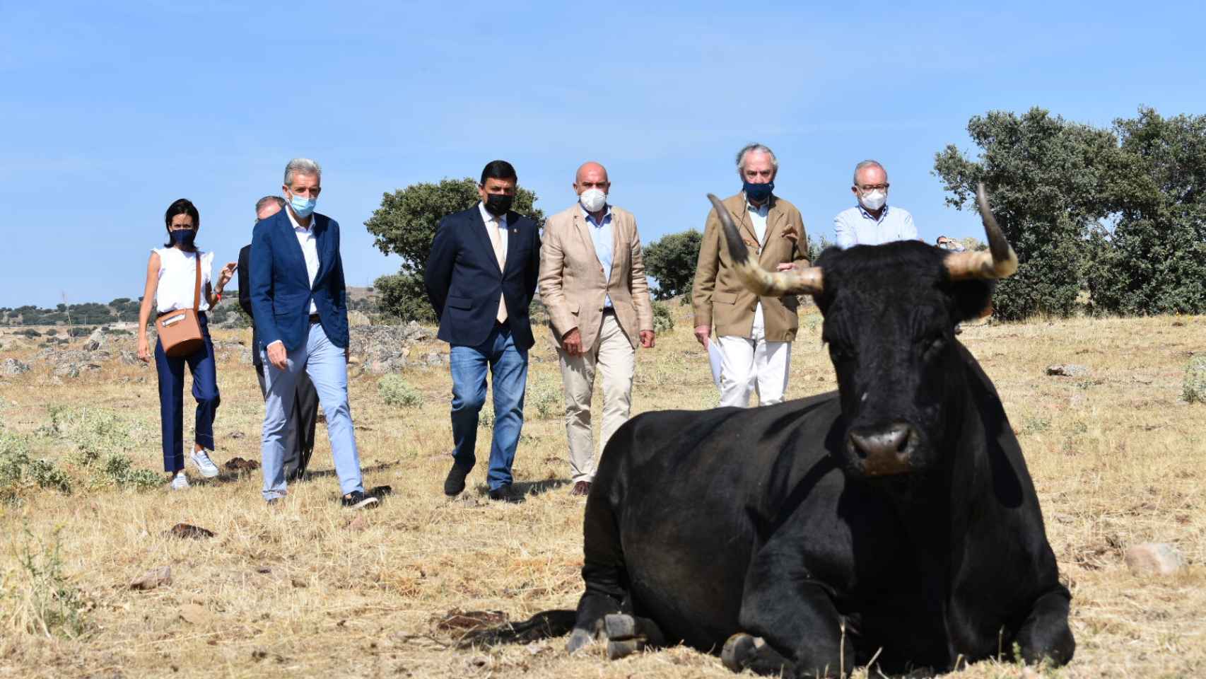 La IGP Carne de Ávila, ejemplo de desarrollo rural sostenible gracias a la calidad de la raza autóctona 1