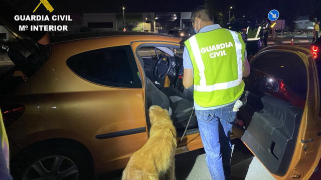 Servicio Cinológico en un registro