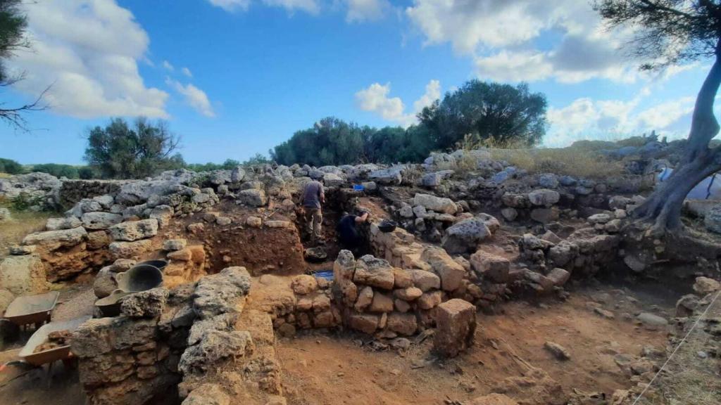 Vista genérica de la excavación en el yacimiento de Son Catlar.