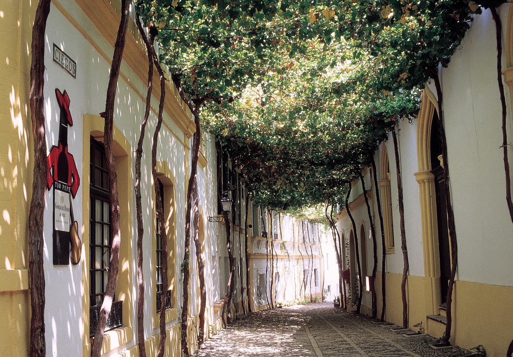 Calle Ciegos, en el interior de la bodega Tío Pepe.