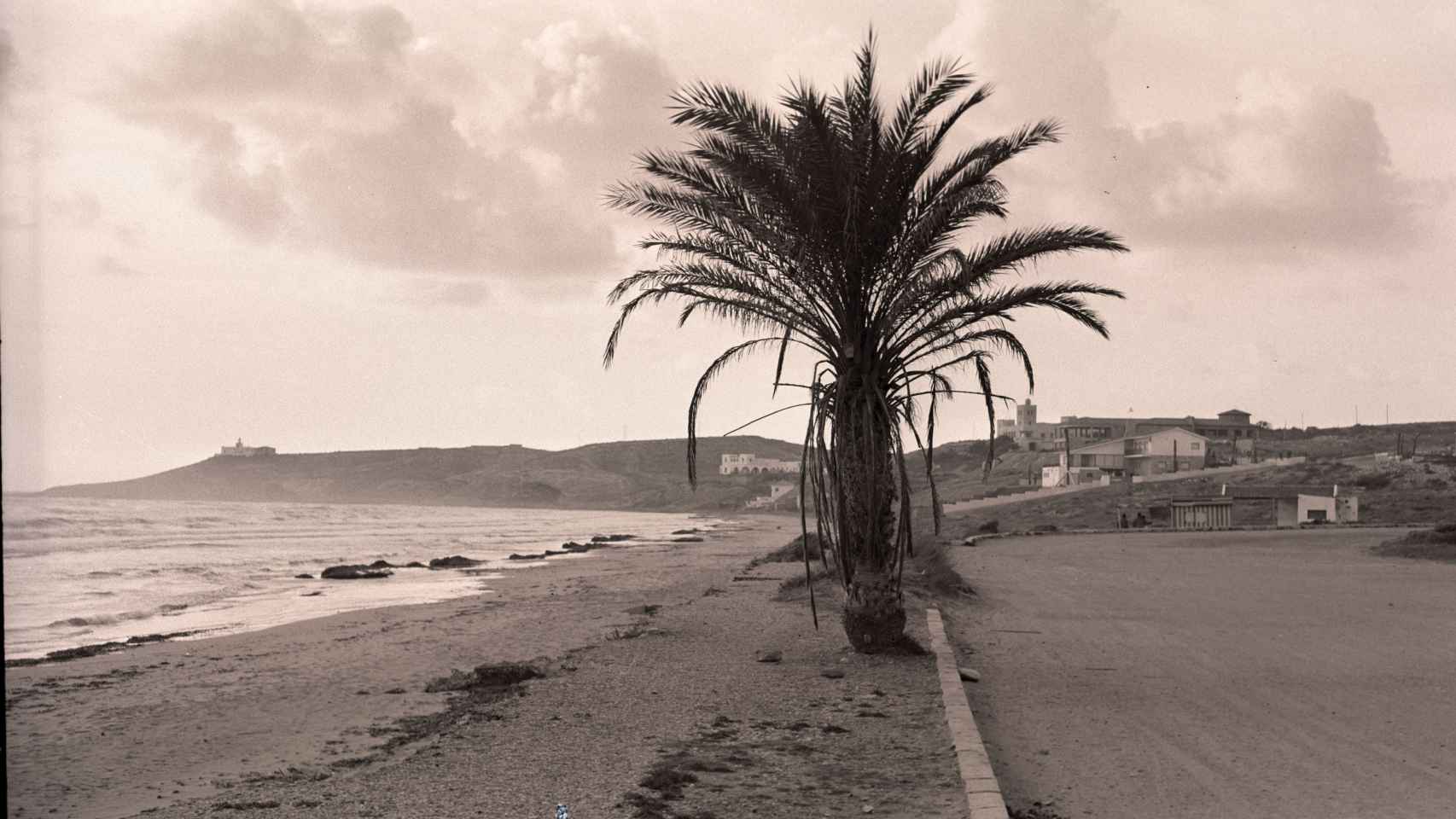 Playa de San Juan de Alicante con el Cabo Huertas al fondo, 1955.