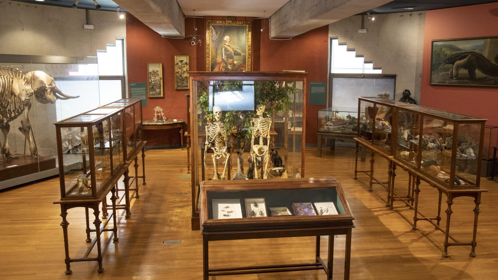 250 aniversario del Museo Nacional de Ciencias Naturales