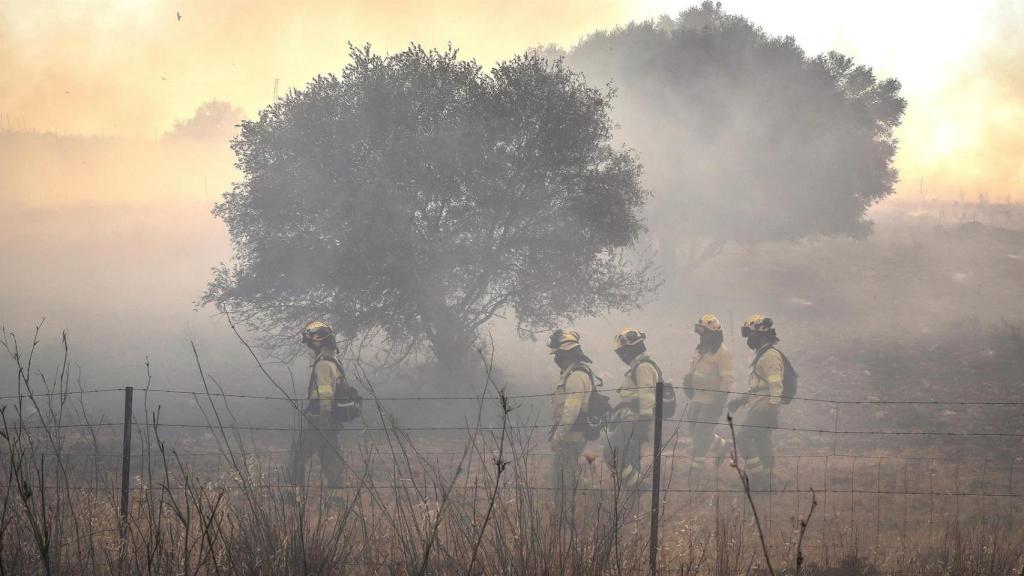 Miembros del Infoca en el incendio de la semana pasada en Villarrasa (Huelva)