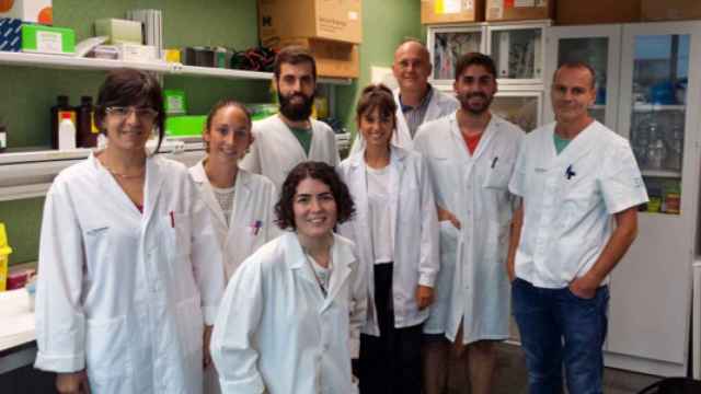 Investigadores del Departamento de Biología y del Instituto Universitario de Investigaciones en Ciencias de la Salud (IUNICS) de la Universidad de las Illes Balears, el Instituto de Investigación Sanitaria de las Islas Baleares (IdISBa), impulsores de la investigación..