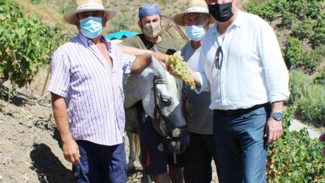 Juan Espadas, secretario general del PSOE-A, en su visita a los municipios de El Borge y Almáchar.