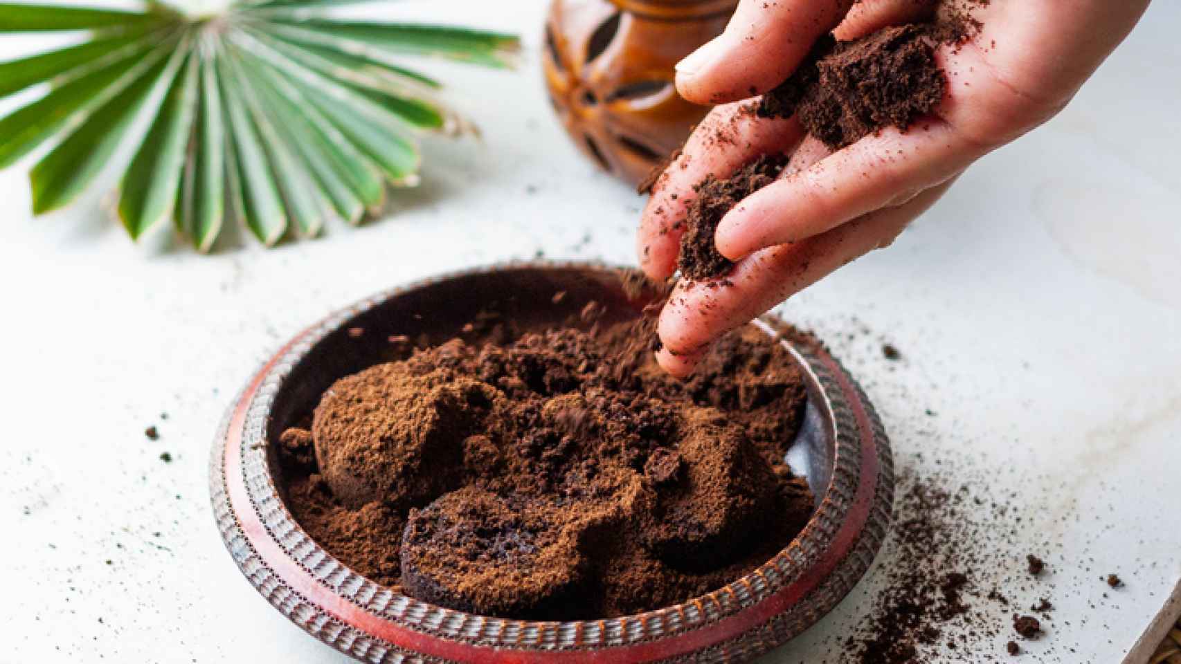 Repulsión cosecha consumirse 17 formas de reutilizar los posos de café