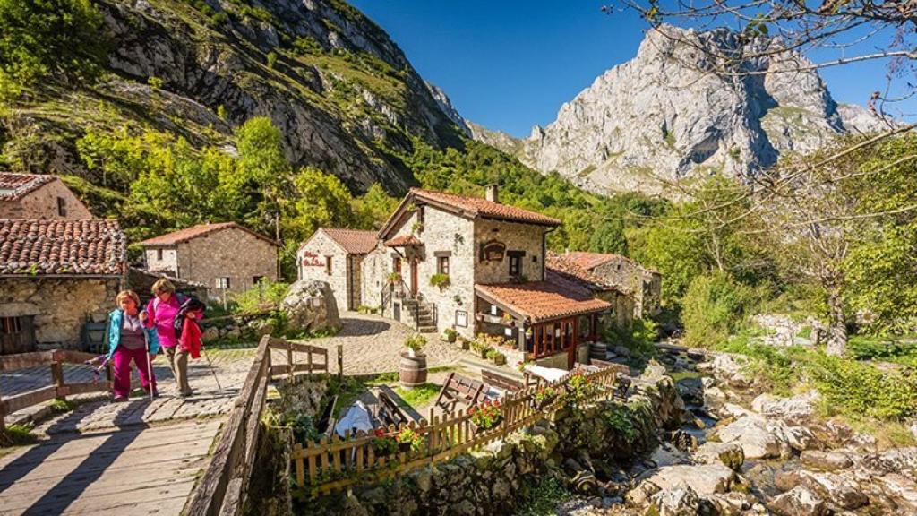 Bulnes