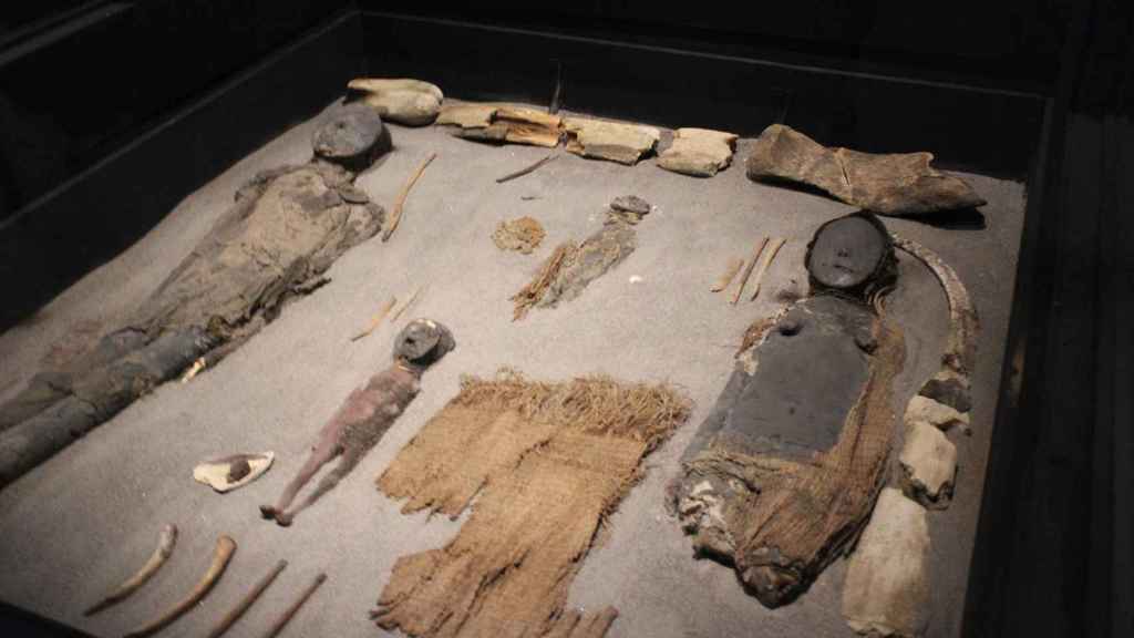 Imágenes de las momias fotografiadas en el Museo San Migue de Azapa de esta localidad del norte de Chile.
