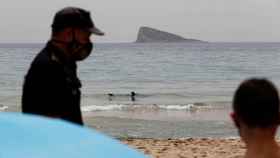 Cierran playas en La Vila y El Campello por la aparición de tiburones: ¿son el mismo que el de Benidorm?