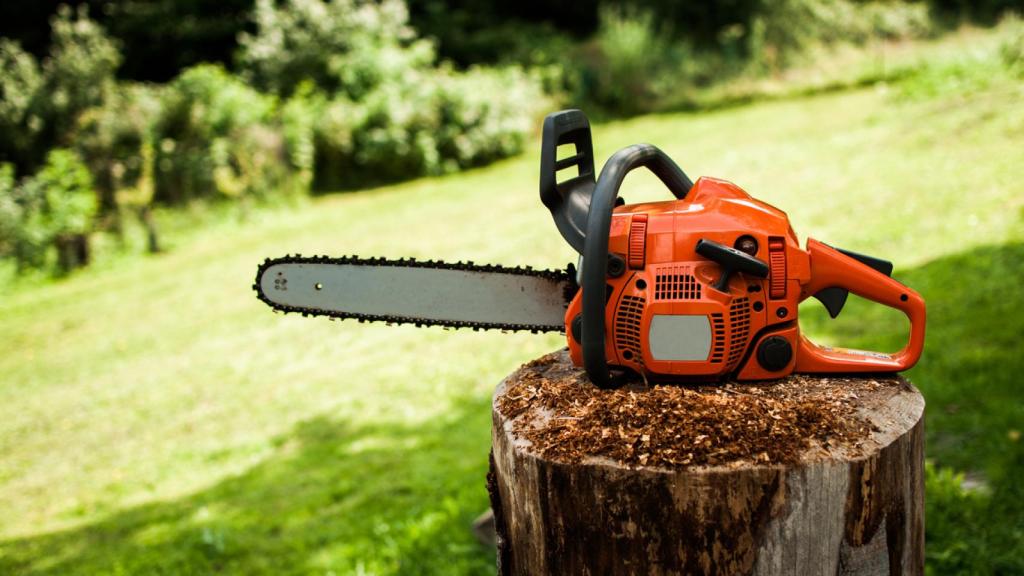 Details 48 sierra para cortar árboles