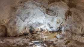 Imagen del interior de la cueva encontrada en La Araña.