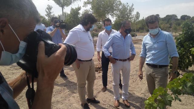 Pablo Casado junto a los viñedos de Bodegas Juan Gil en Jumilla.