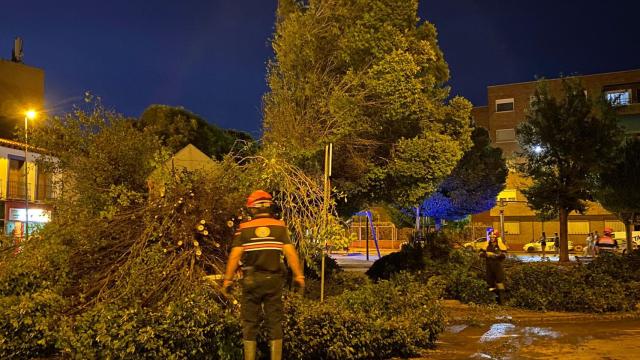 Balance de daños tras la gran tormenta en Alcázar de San Juan: árboles caídos, balsas de agua...