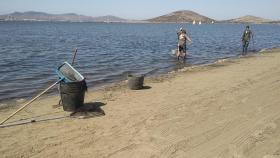 Operarios de Medio Ambiente retirando algas de la Playa del Cavanna del Mar Menos.