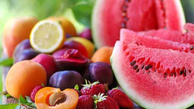 Frutas dentro de la dieta frugívora.