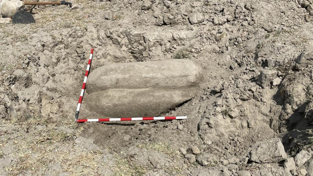 Another image of the boar found.