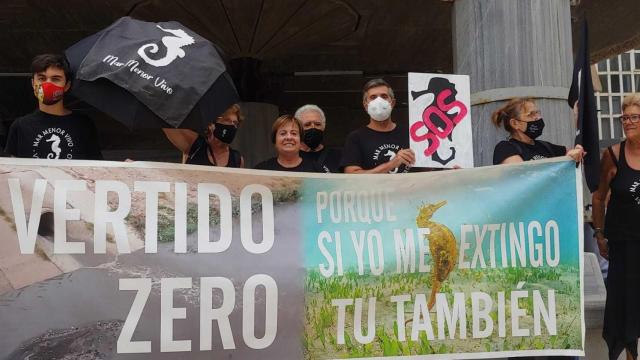 Los activistas con una pancarta en defensa del Mar Menor en la Asamblea Regional.