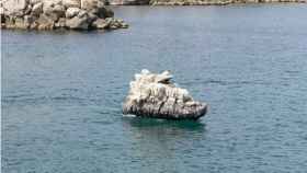 Esta roca en mitad del mar es en realidad un barco camuflado en el entorno
