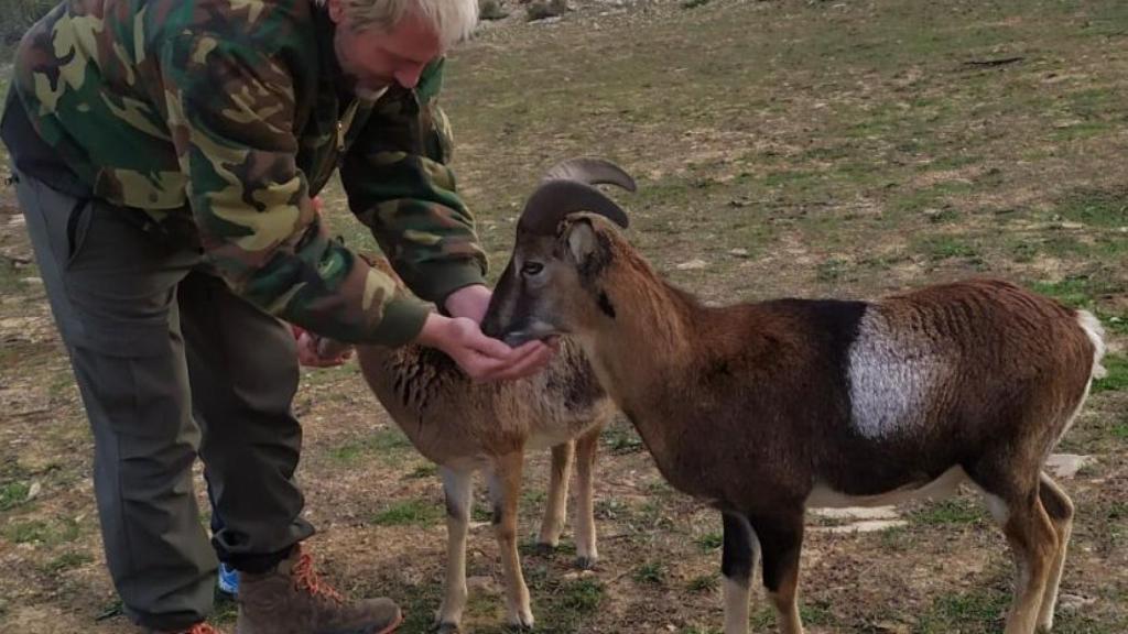 Cañizares with his animals on his farm.