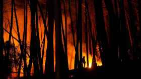 Trabajos durante la noche para apagar el incendio forestal en el municipio lucense de Ribas de Sil.