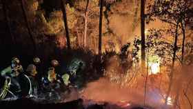 Un bombero muere mientras luchaba contra las llamas del incendio de Sierra Bermeja (Málaga)