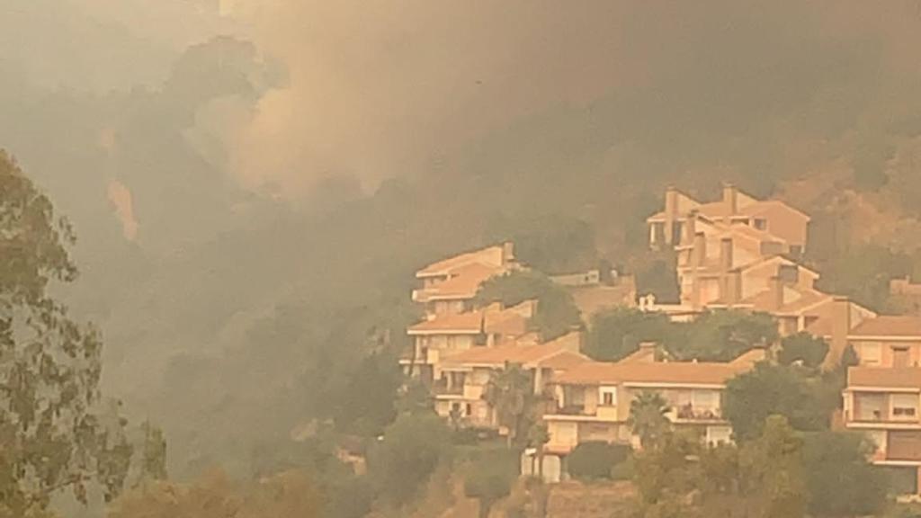 Imagen de uno de los focos del incendio.