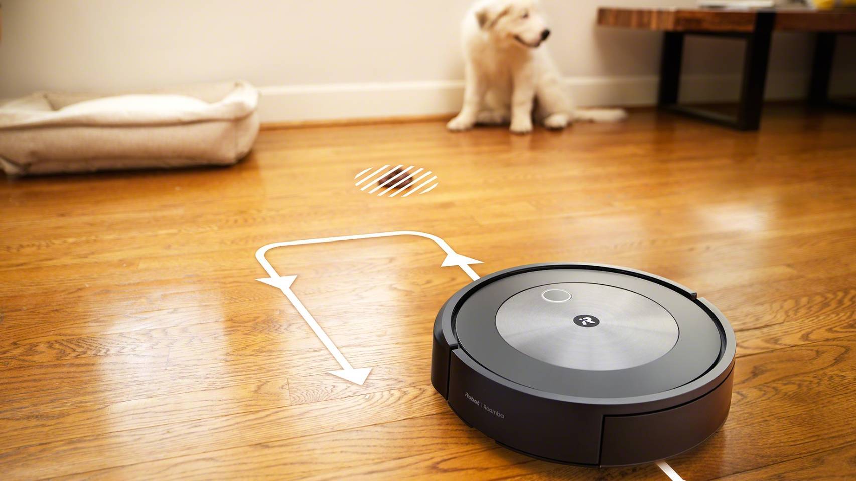 Llega la Roomba j7+, el robot aspirador que identifica los excrementos de  tu perro