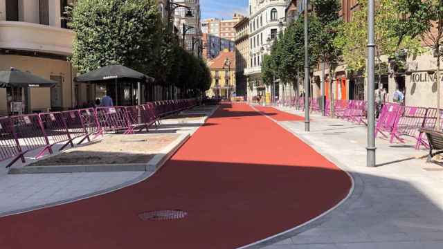 Valladolid Maria de molina alfombra roja