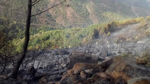 Superficie quemada por el incendio.