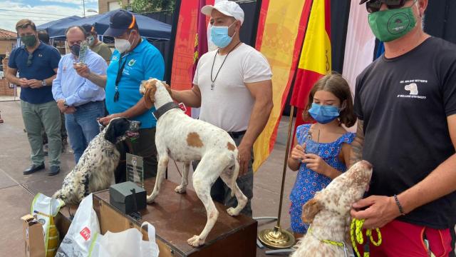 Los mejores perros de caza del país se dan cita en Santa Olalla