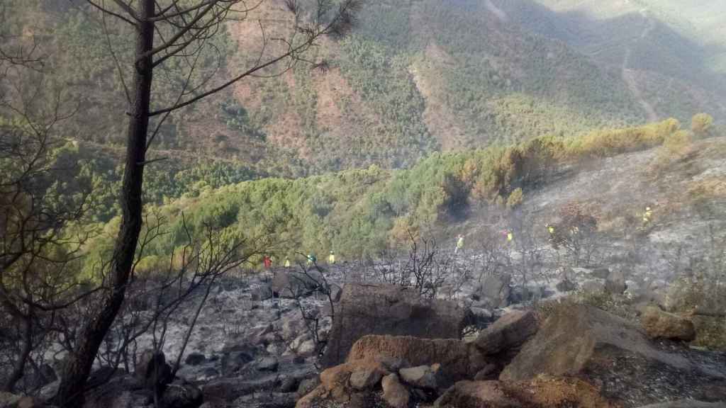 Zonas quemadas por el incendio en Sierra Bermeja.