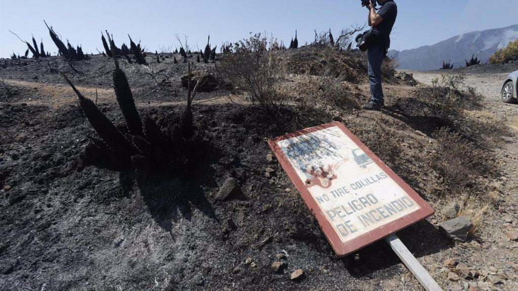 Parajes quemados por el incendio en Málaga.