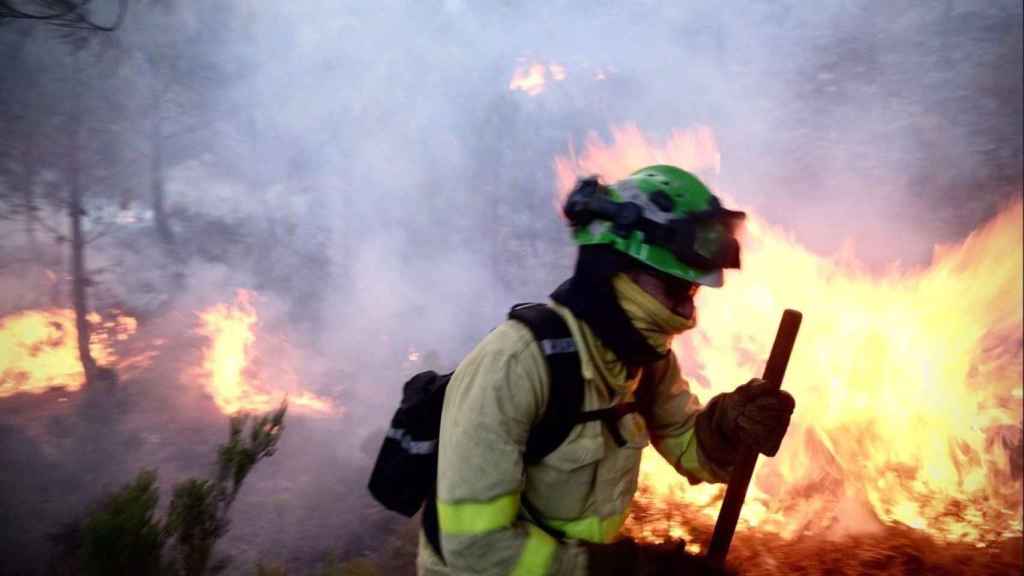 El incendio de Málaga ya ha calcinado casi 8.000 hectáreas.